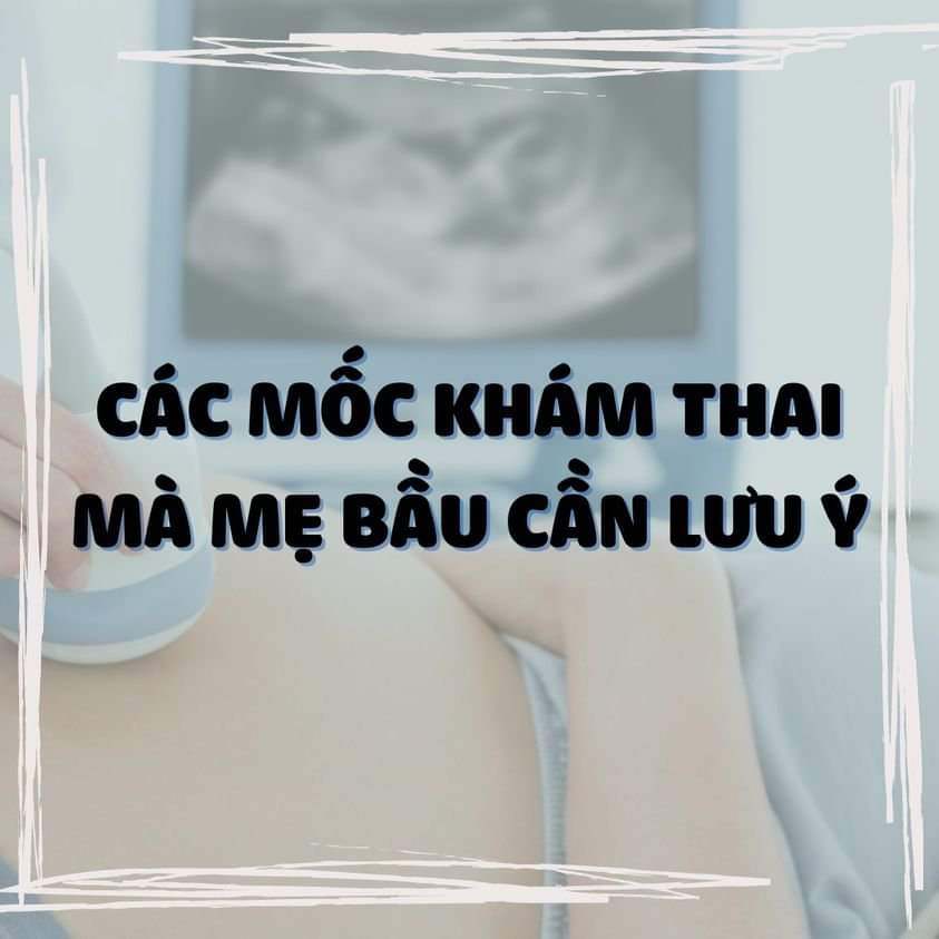 ❌❌ CÁC MỐC KHÁM THAI MÀ MẸ BẦU CẦN LƯU Ý ❌❌