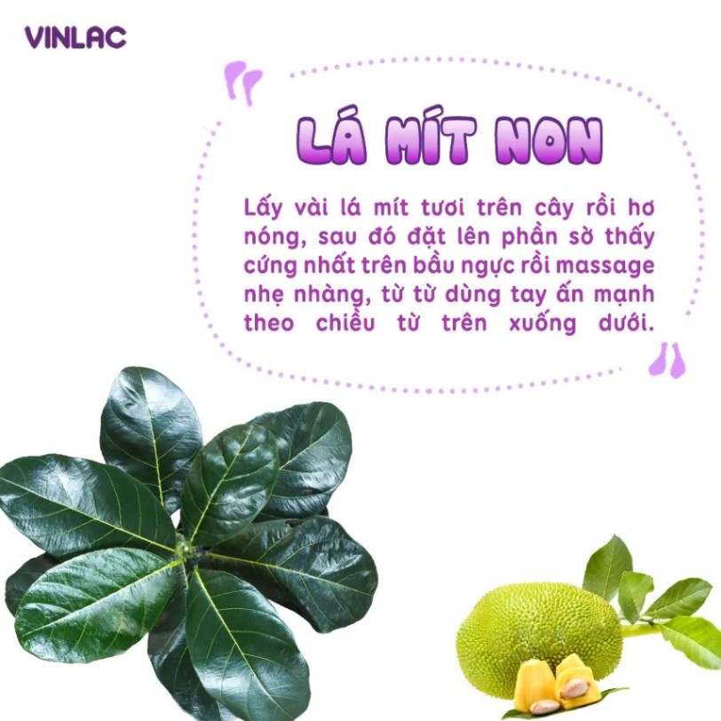 MẸO CHỮA TẮC TIA SỮA THEO KINH NGHIỆM DÂN GIAN