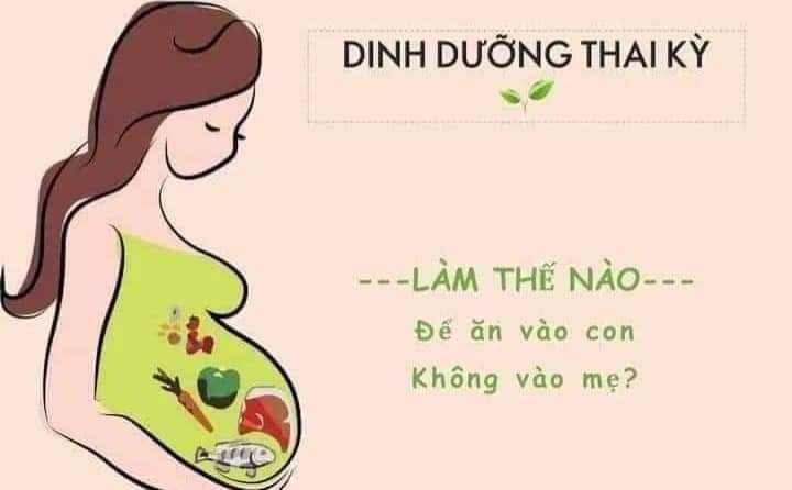 Kiến thức hay dành cho các mẹ bầuDinh dưỡng cho bà bầu như thế nào giúp thai nhi phát triển toàn diện?