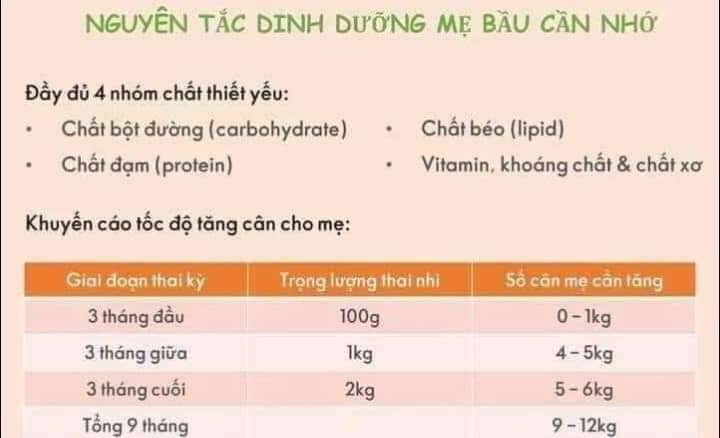 Kiến thức hay dành cho các mẹ bầuDinh dưỡng cho bà bầu như thế nào giúp thai nhi phát triển toàn diện?