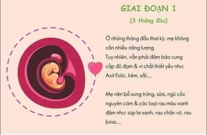 Kiến thức hay dành cho các mẹ bầuDinh dưỡng cho bà bầu như thế nào giúp thai nhi phát triển toàn diện?