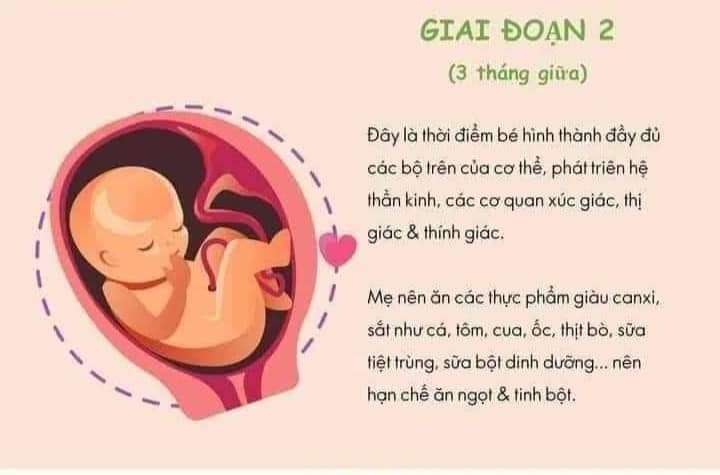 Kiến thức hay dành cho các mẹ bầuDinh dưỡng cho bà bầu như thế nào giúp thai nhi phát triển toàn diện?