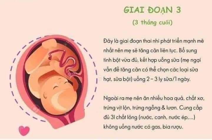 Kiến thức hay dành cho các mẹ bầuDinh dưỡng cho bà bầu như thế nào giúp thai nhi phát triển toàn diện?