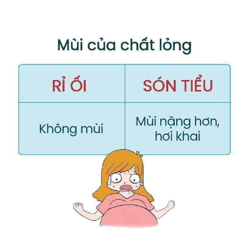 🚨🚨🚨 PHÂN BIỆT RỈ ỐI VÀ SÓN TIỂU💥