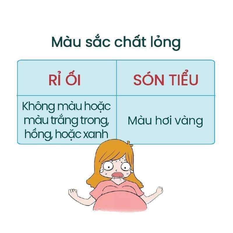 🚨🚨🚨 PHÂN BIỆT RỈ ỐI VÀ SÓN TIỂU💥