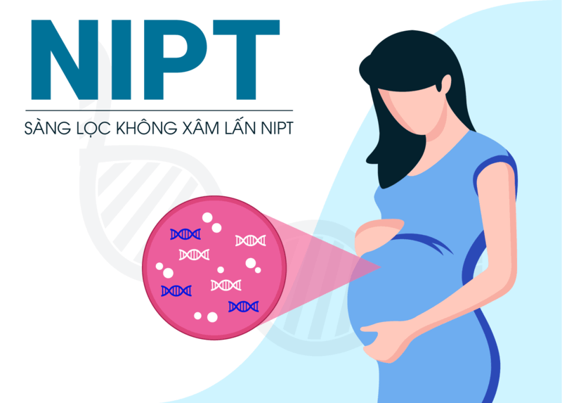 Làm thế nào để đọc kết quả NIPT biết trai hay gái? 