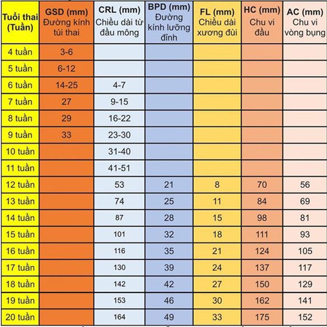 Chiều dài đầu mông thai 12 tuần bao nhiêu là bình thường?