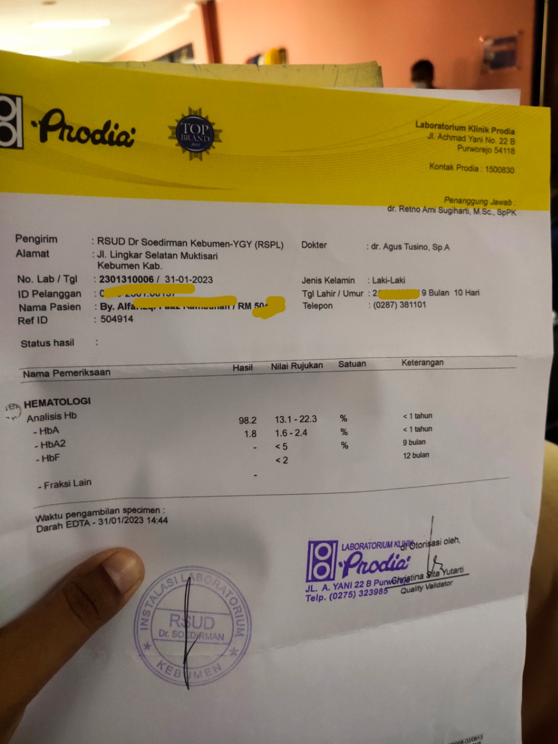 Hasil tes elektroforesa hb