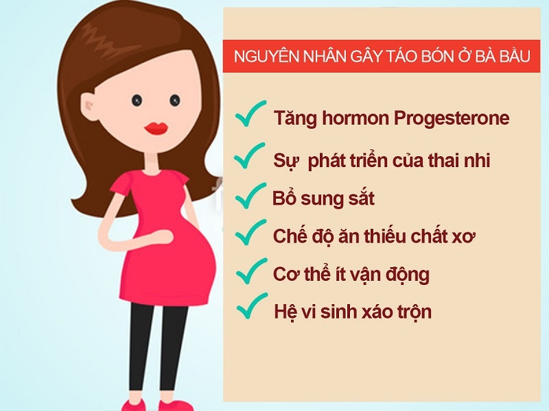 1. Táo bón ở phụ nữ mang thai - nguyên nhân do đâu?