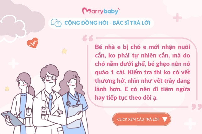 [Cộng đồng hỏi - Bác sĩ trả lời] Bé bị chó quào có cần tiêm ngừa không?