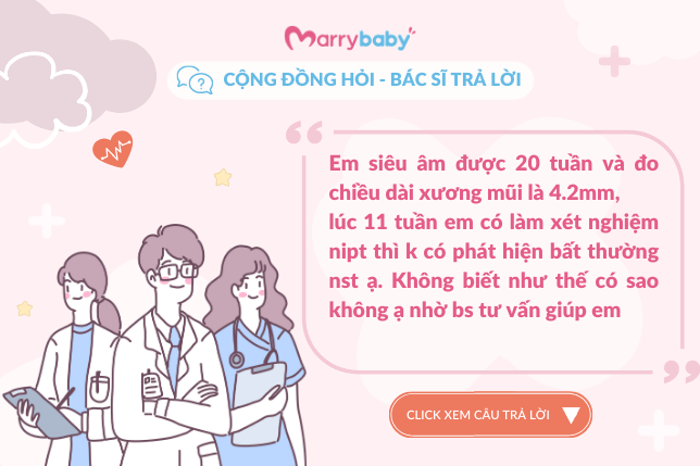 [Cộng đồng hỏi - Bác sĩ trả lời] Chiều dài xương mũi thai nhi ngắn có sao không?