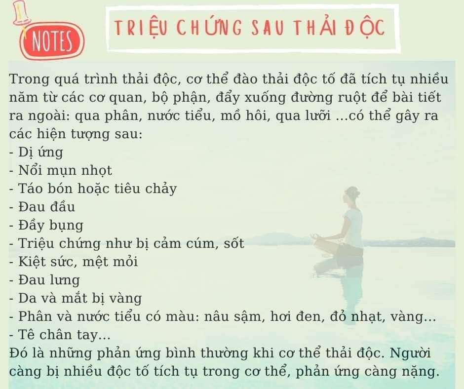 Tìm hiểu về quá trình thải độc 