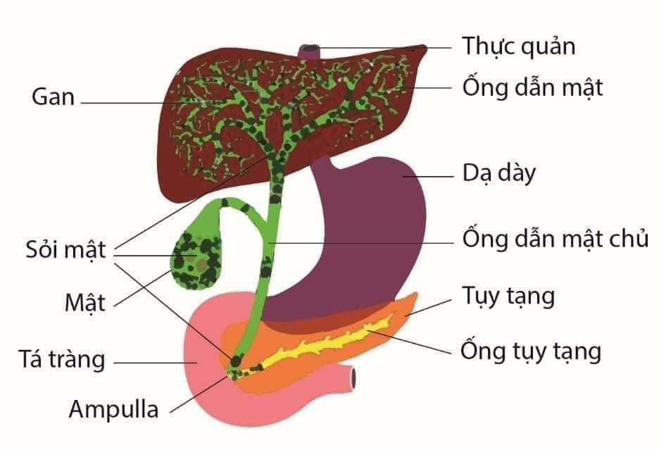 SỨC KHỎE NẰM TRONG CHÍNH TAY TA