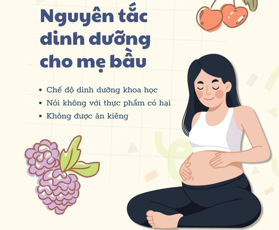 3 Nguyên Tắc Chính Khi Xây Dựng Dinh Dưỡng Cho Mẹ Bầu