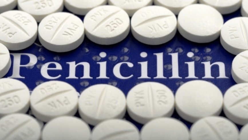 Quy trình sản xuất Penicillin từ nấm Penicillium