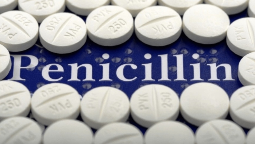 Thuốc kháng sinh Penicillin được sản xuất từ đâu?  