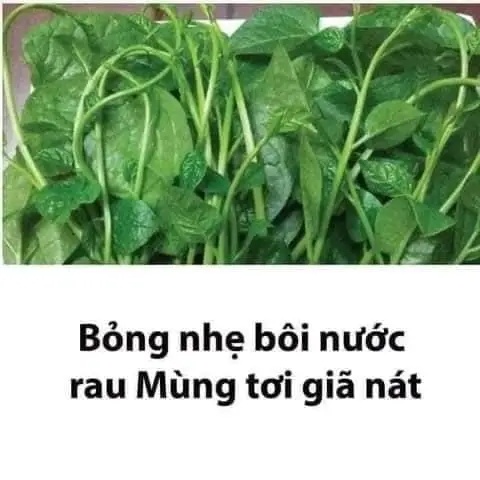 Không đơn giản chỉ là lá là rauMột số loại cây còn là vị thuốc