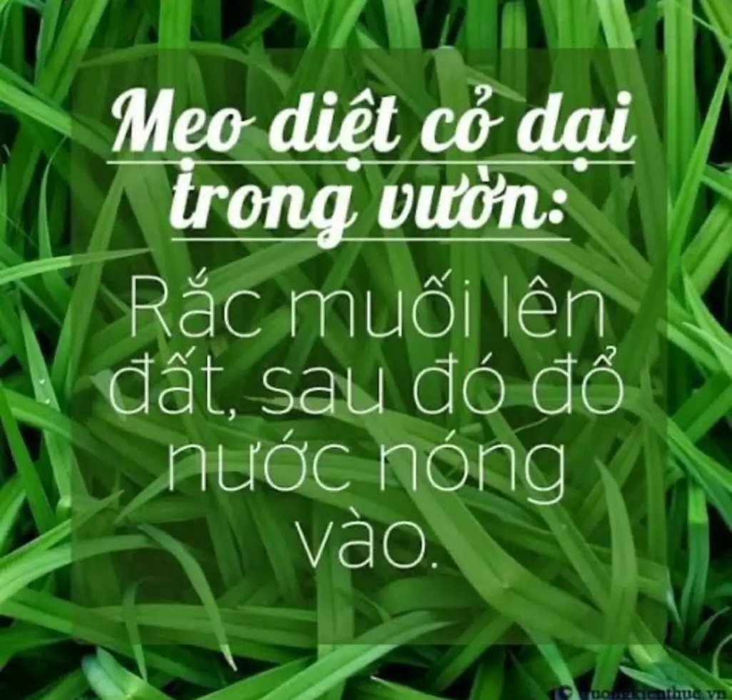 Biết những mẹo này nhàn hẳn đó các mẹ ạ!