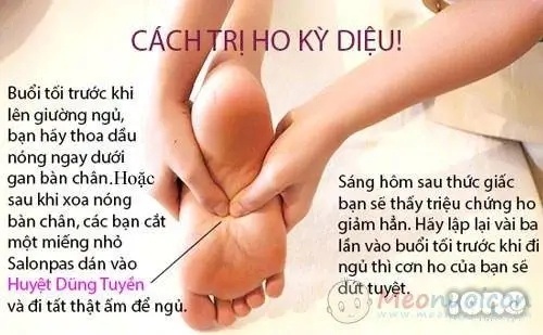 Bài thuốc trị ho cho các bé yêu 