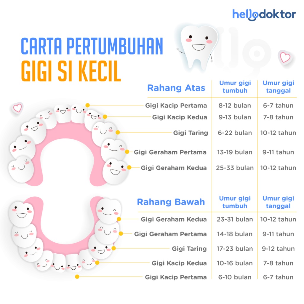 Carta pertumbuhan gigi si kecil