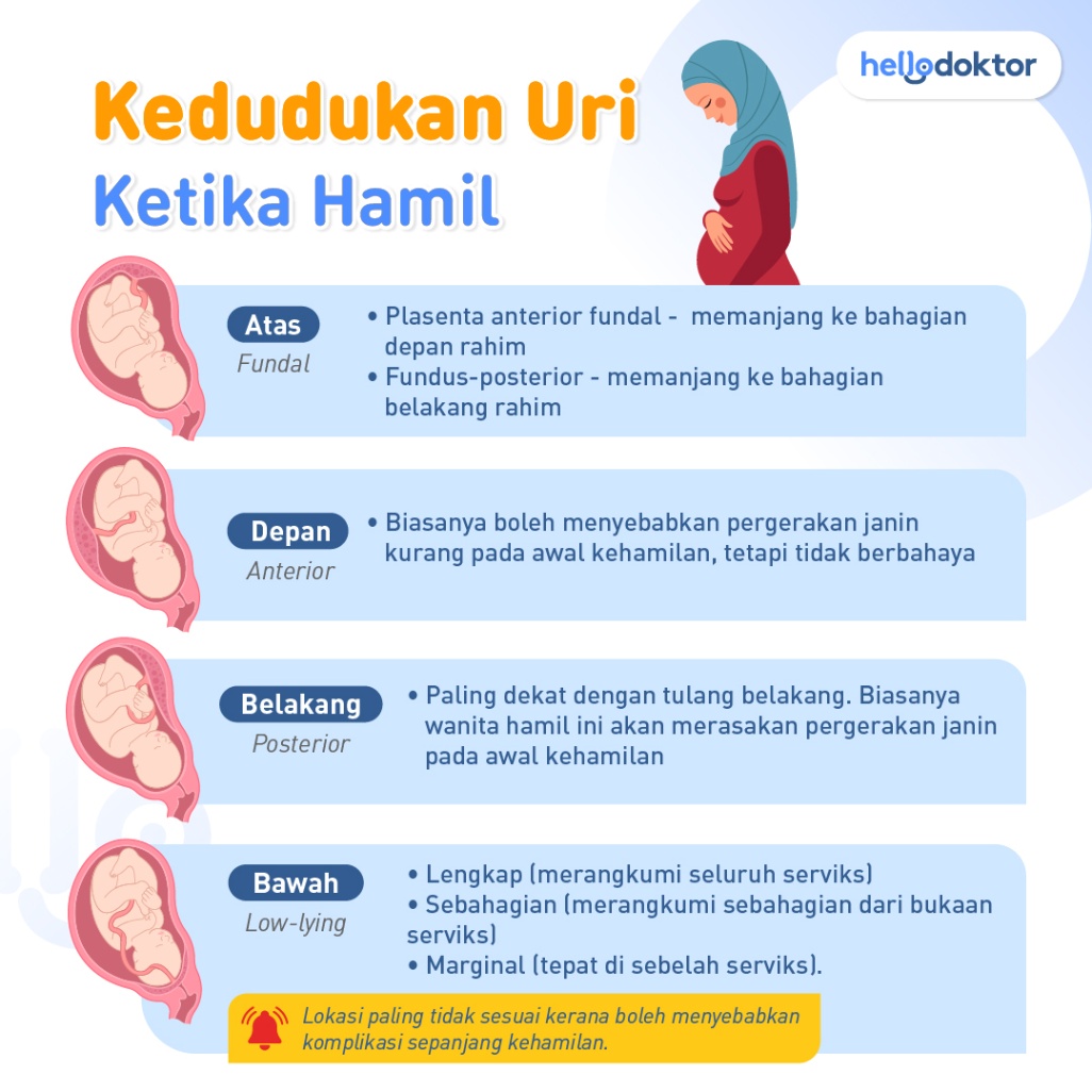 Kedudukan uri ketika hamil