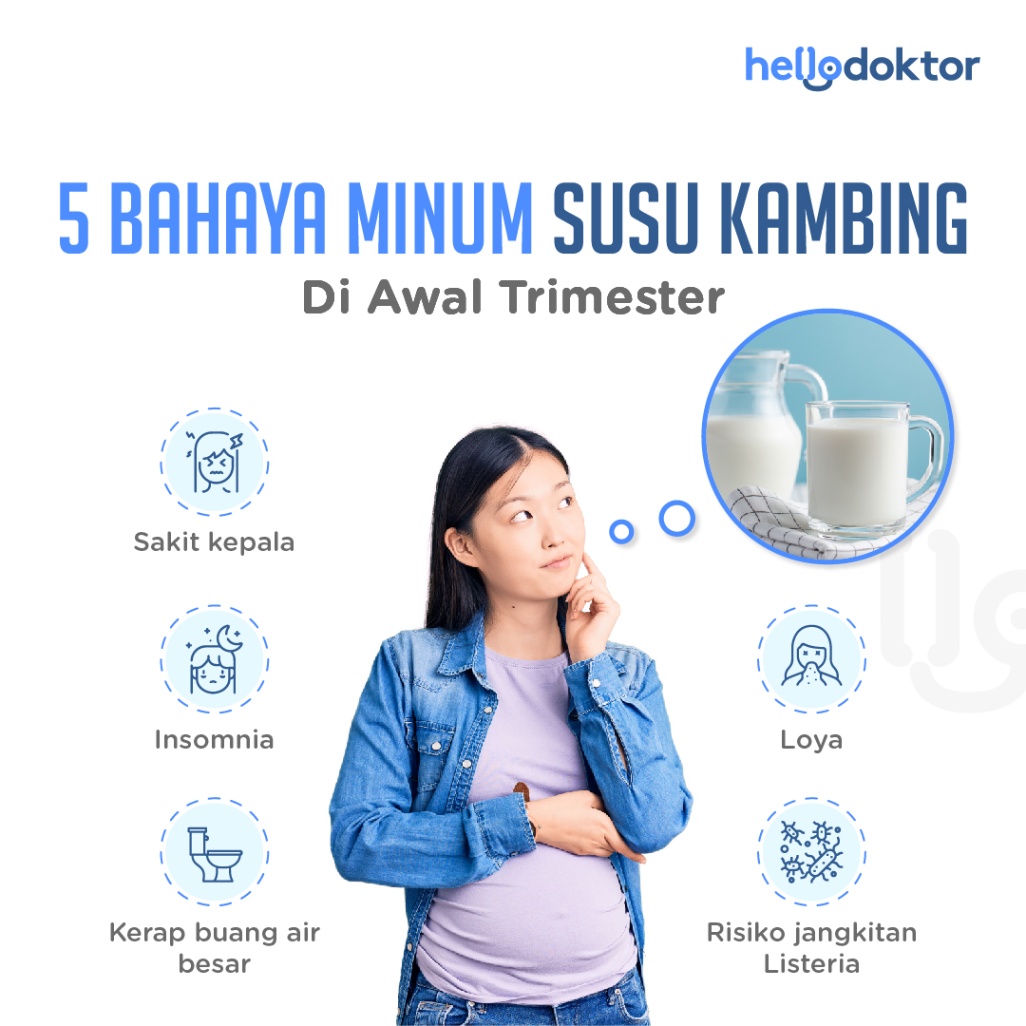 Bahaya minum susu kambing di awal trimester