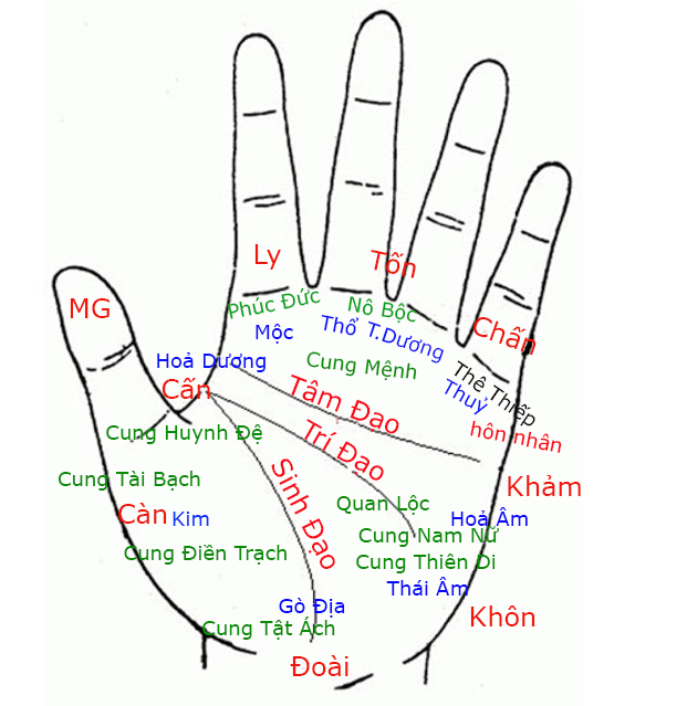  Xem chỉ tay online có chính xác không? Những điều cần lưu ý khi xem chỉ tay online