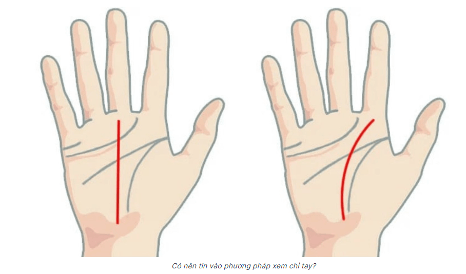 Xem chỉ tay là gì? Kết quả xem chỉ tay có đúng không?
