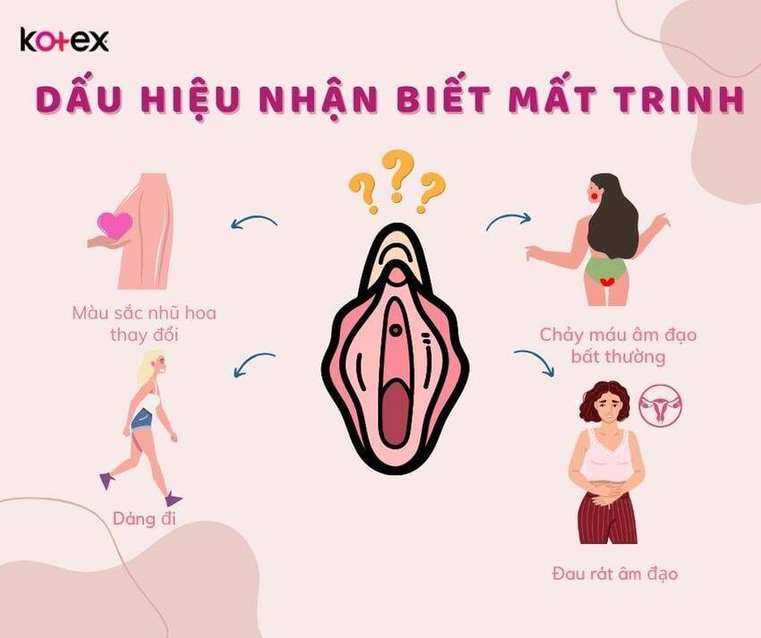 Rách Màng Trinh Chảy Máu Bao Lâu? Giải Đáp Chi Tiết