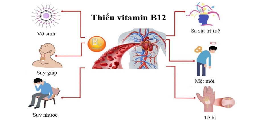 Tác dụng tuyệt vời của Vitamin B12: Chìa khóa cho sức khỏe toàn diện