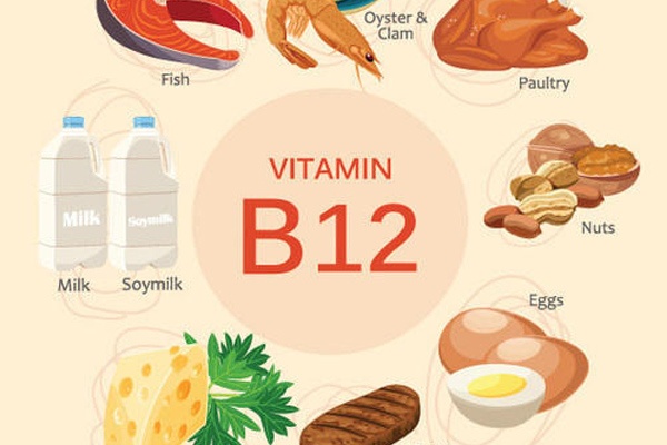 Vitamin B12 có trong thực phẩm nào?