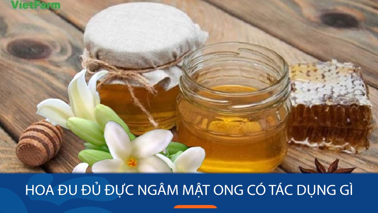 Hoa đu đủ đực ngâm mật ong: Thức uống bổ dưỡng với nhiều lợi ích cho sức khỏe