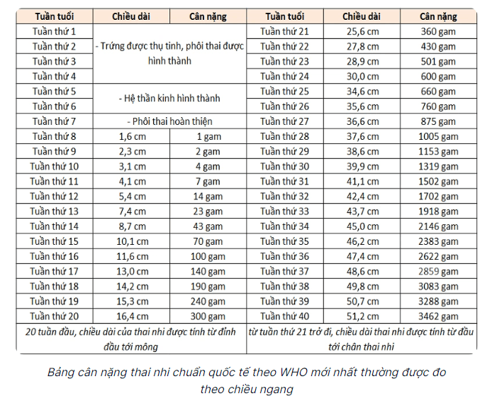 Theo dõi bảng cân nặng thai nhi theo tuần tuổi chuẩn theo WHO