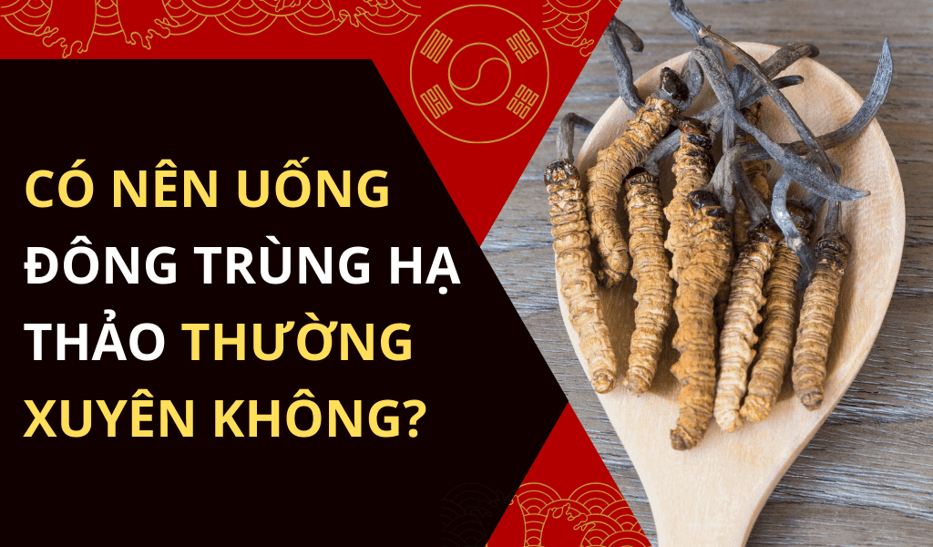 Có nên uống đông trùng hạ thảo thường xuyên không? 