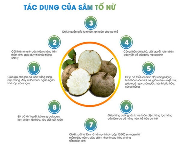 Sâm Tố Nữ: Tác Dụng và Lợi Ích Cho Sức Khỏe