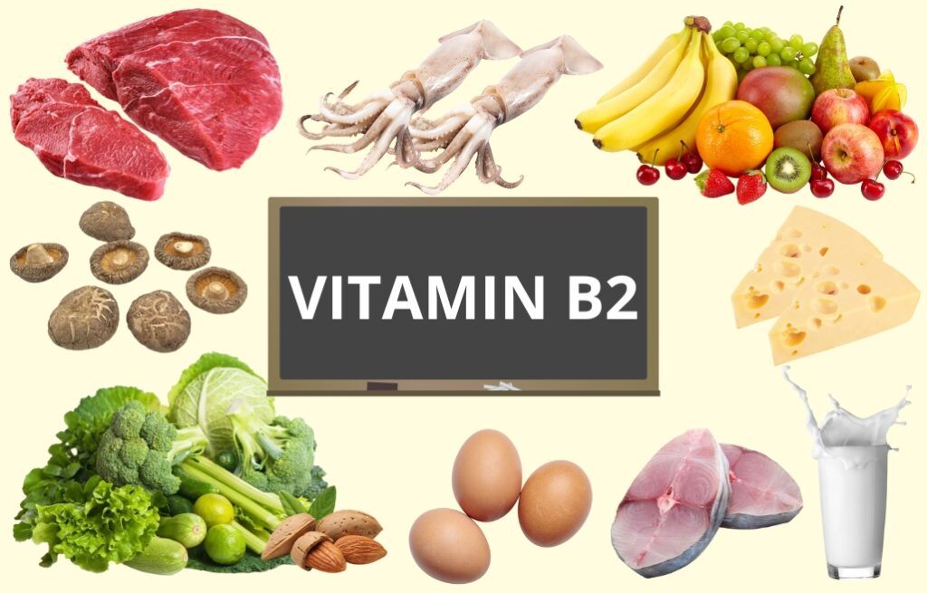 Vitamin B2 có trong thực phẩm nào?