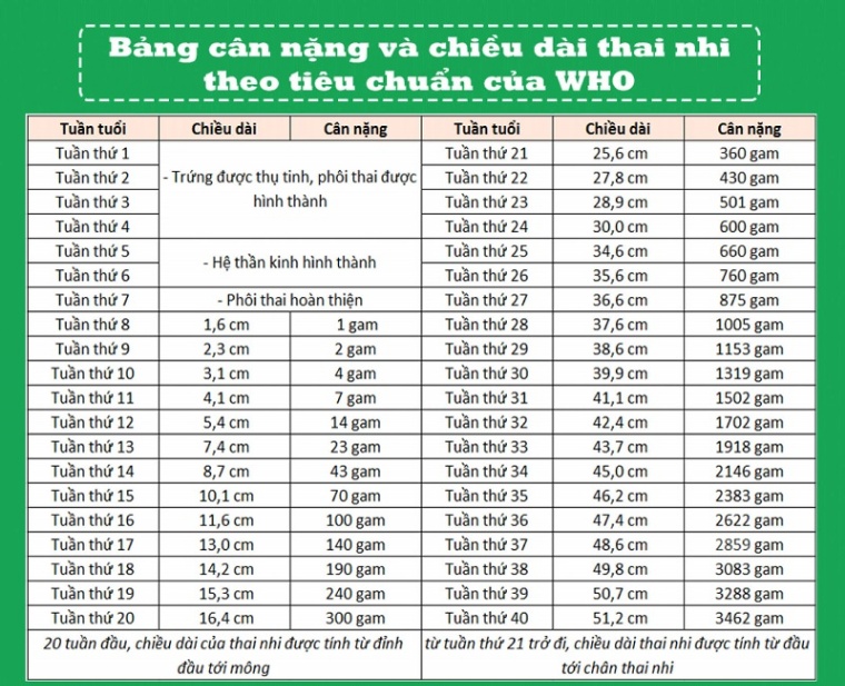 Bố mẹ thắc mắc bé nặng bao nhiêu thì đạt chuẩn? Có ngay bảng cân nặng chuẩn của thai nhi theo WHO