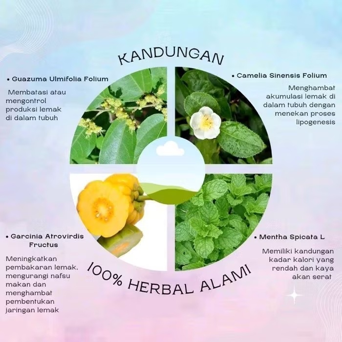 kandungan dalam suplemen - HelloSehat