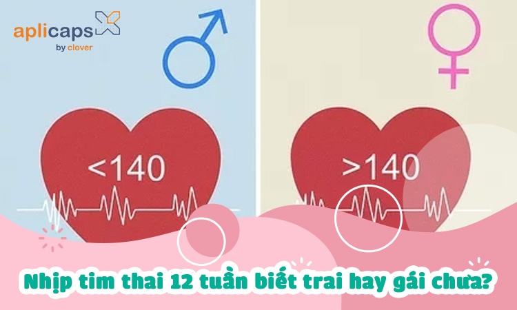 Thai 12 tuần, nhịp tim 167: Bé trai hay bé gái?