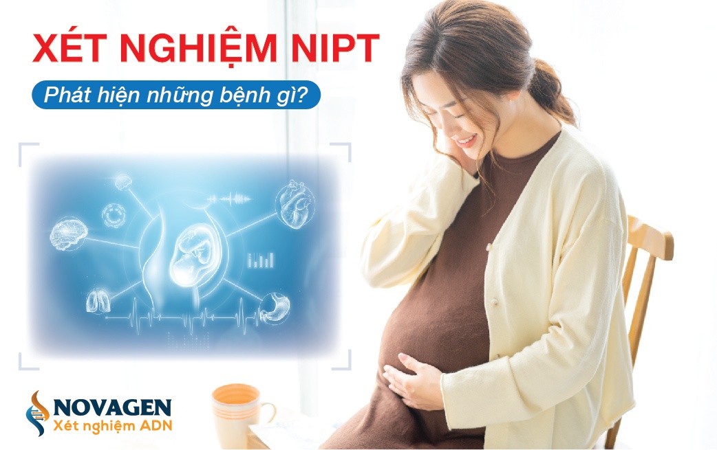 Xét nghiệm NIPT phát hiện những bệnh gì? Cửa sổ khám phá sức khỏe thai nhi 