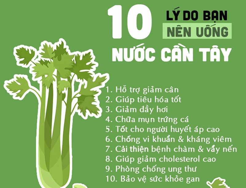 Nước ép cần tây có tác dụng gì? Thức uống thần kỳ cho sức khỏe