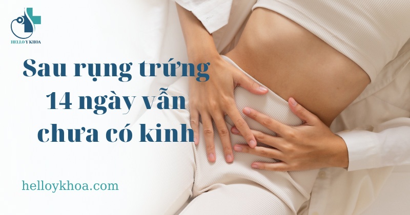 Rụng trứng nhưng không có kinh nguyệt: Nguyên nhân và cách giải quyết