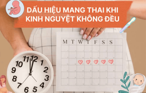 Dấu hiệu mang thai khi kinh nguyệt không đều