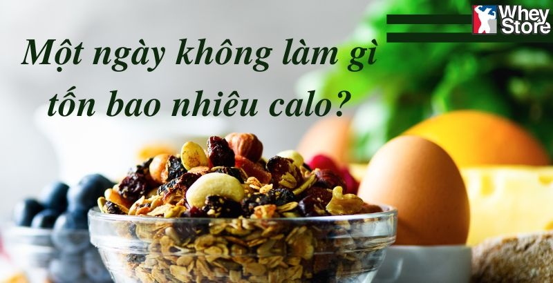 Ngồi yên một chỗ, cơ thể đốt cháy bao nhiêu calo? Bí mật đằng sau việc giảm cân