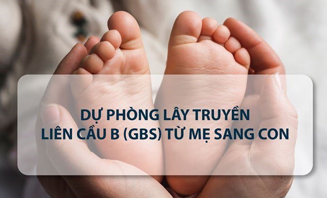 Xét nghiệm GBS là gì? Tại sao mẹ bầu cần làm xét nghiệm này?