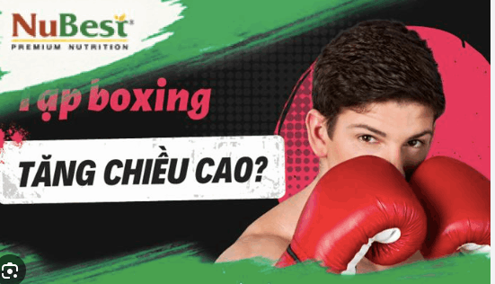 Tập boxing có cao không