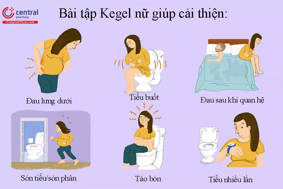 Bài tập Kegel: Bí quyết vàng cho sức khỏe vùng kín của phái đẹp