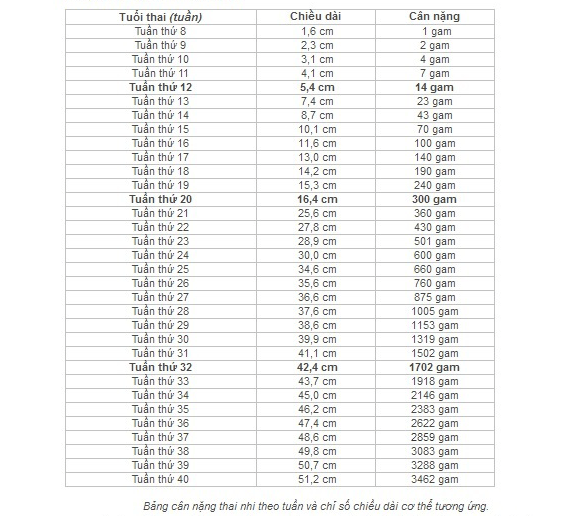 Kích thước thai nhi theo tuần chi tiết mẹ nên