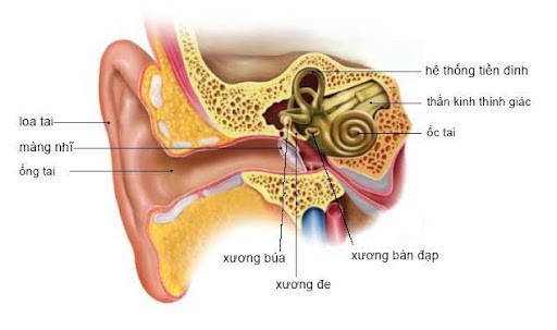 Rối Loạn Tiền Đình Có Nguy Hiểm Không?