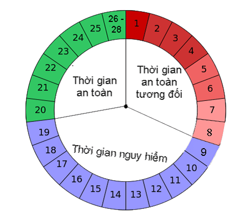 Cách tính ngày khi quan hệ để tránh thai an toàn